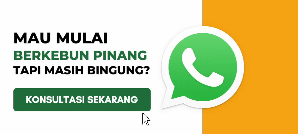 CTA Bibit Pinang Unggul (2)