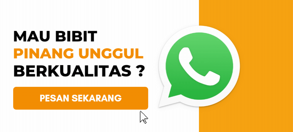 CTA Bibit Pinang Unggul (3)